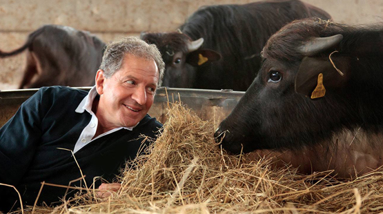 jody scheckter laverstoke park farm