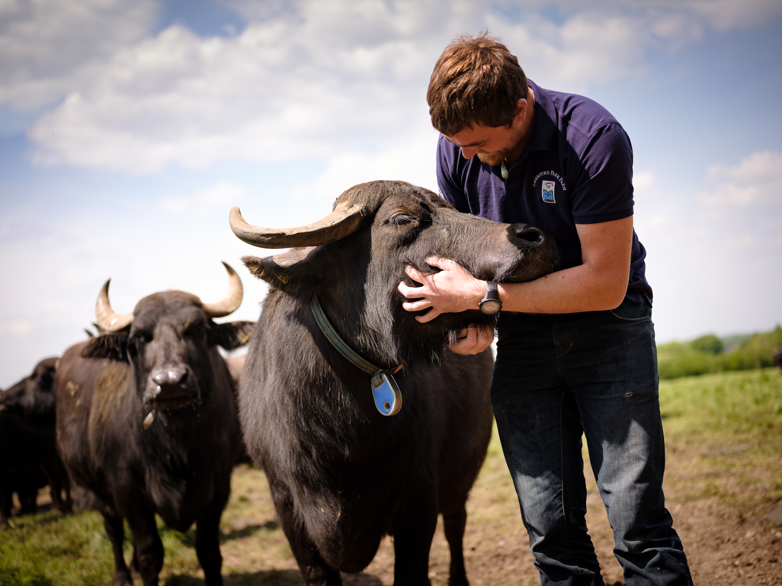 jody scheckter laverstoke park farm